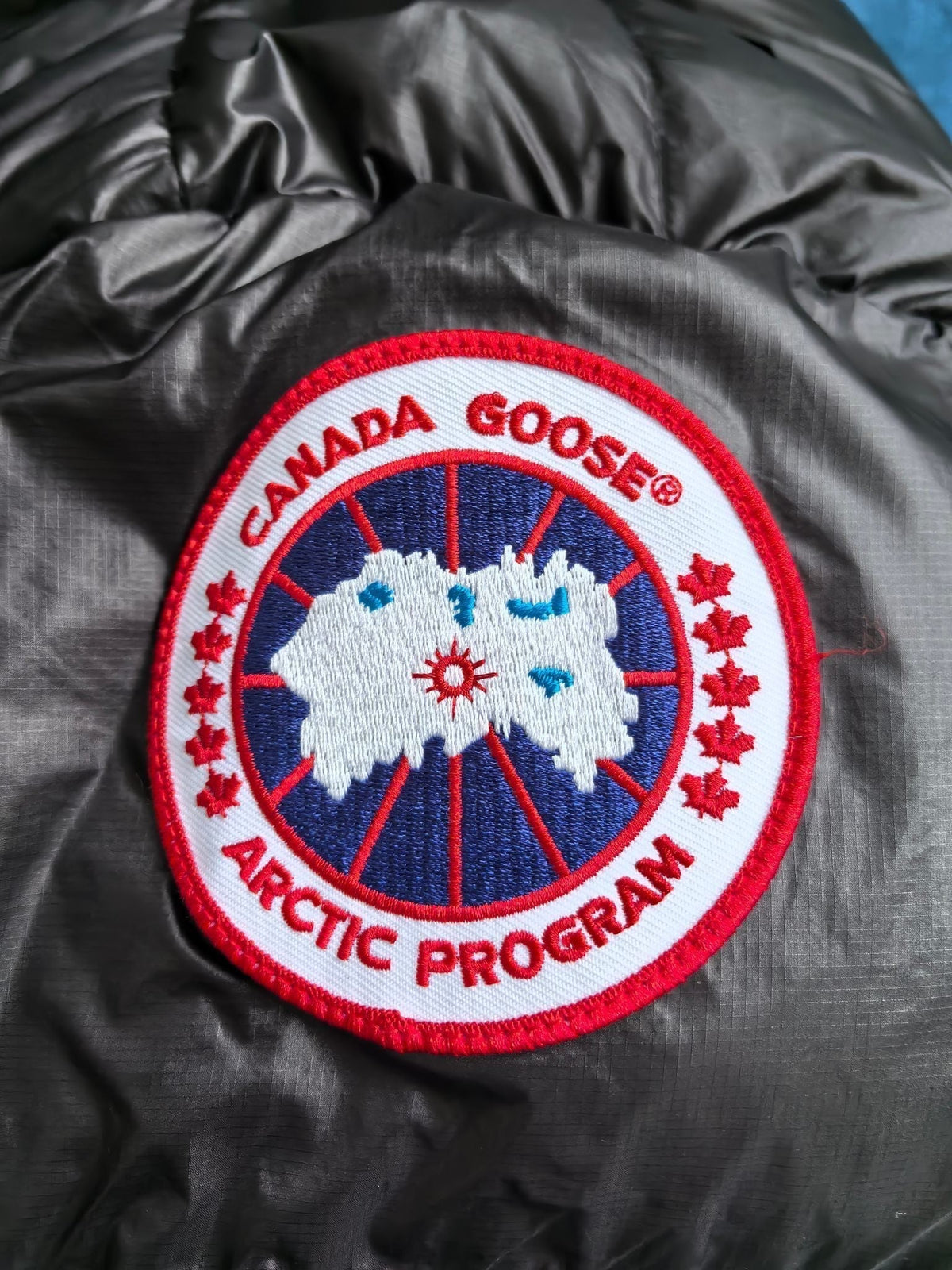 Glossy Down Jacket