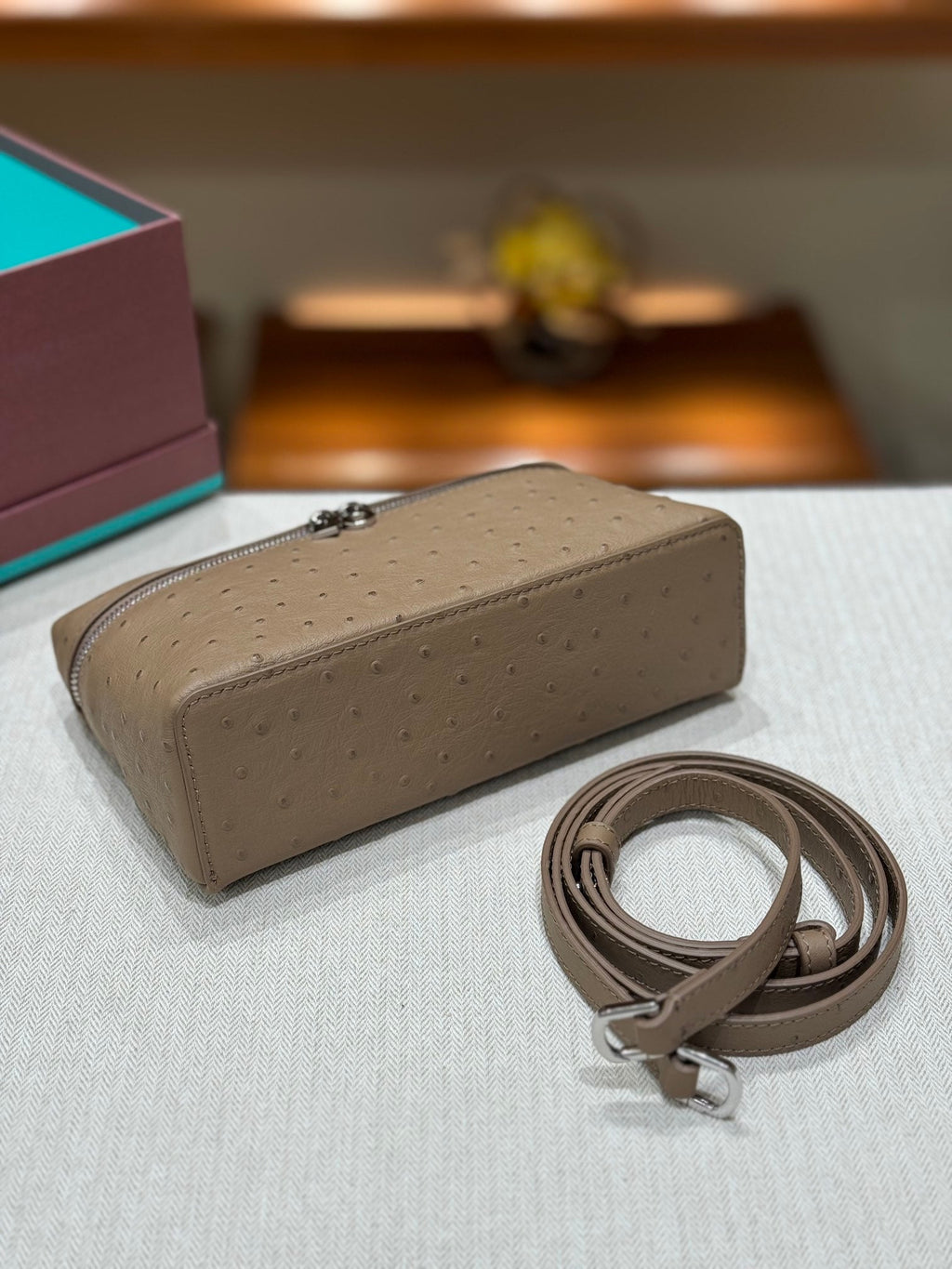 Loro Ostrich Leather Clutch 19